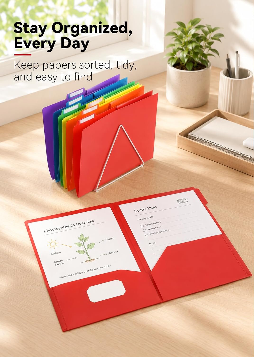 Plastic Folders with Pockets, School Folders with Tabs, Vibrant - Image 4